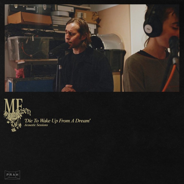 Die to Wake Up From a Dream cover art