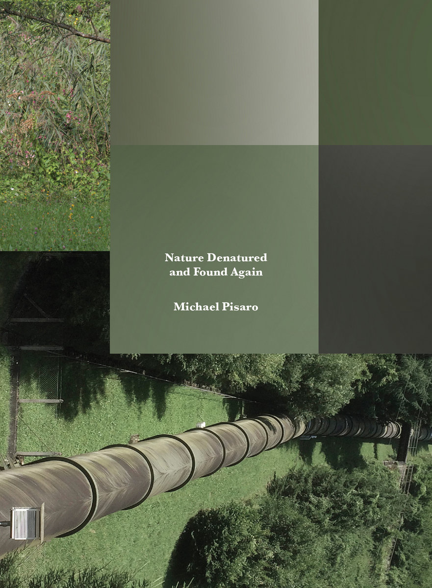 Nature Denatured and Found Again cover art