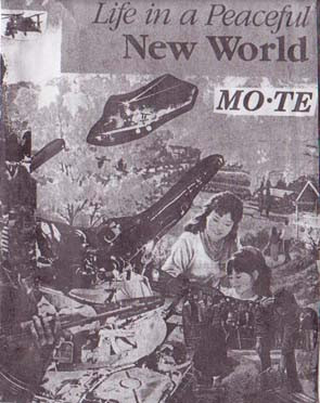 Life in a Peaceful New World cover art
