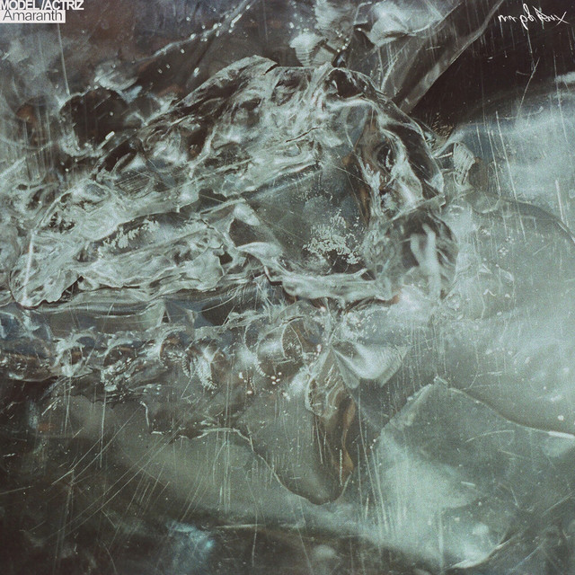 Amaranth cover art