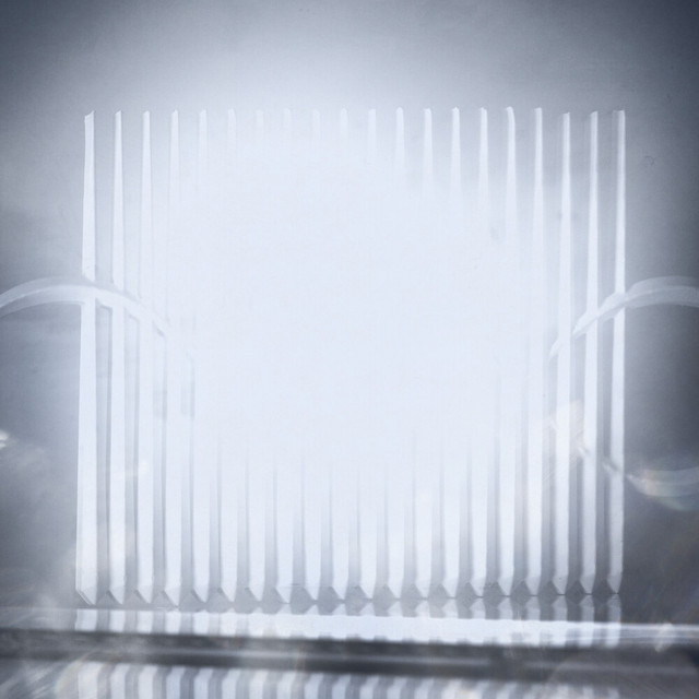 Doves cover art