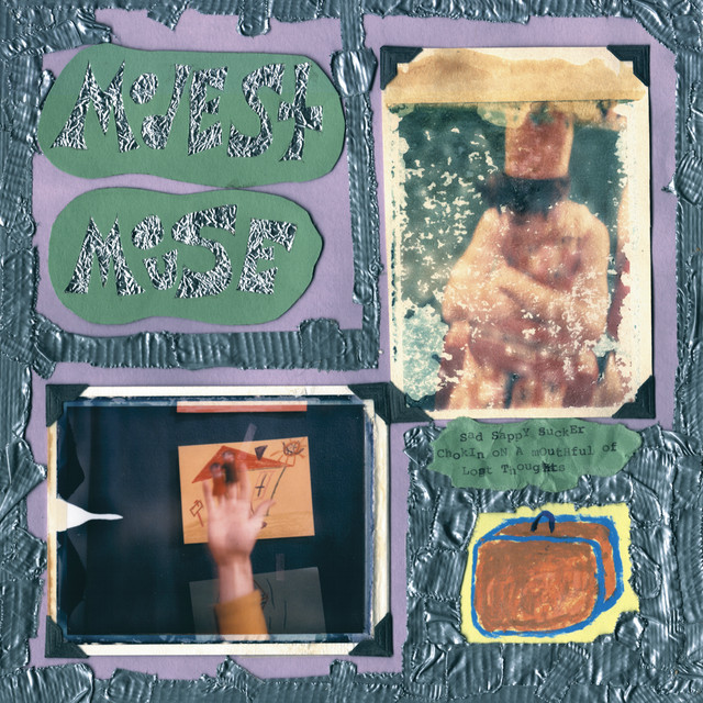 Sad Sappy Sucker cover art