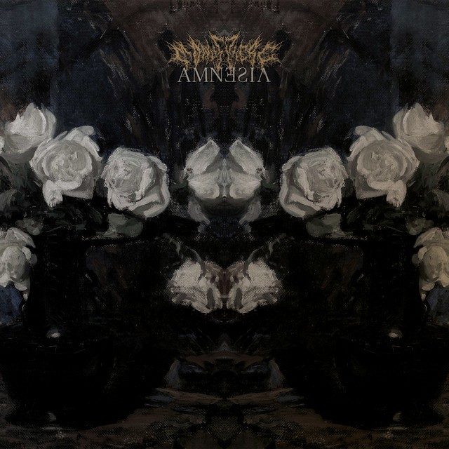 Amnesia cover art