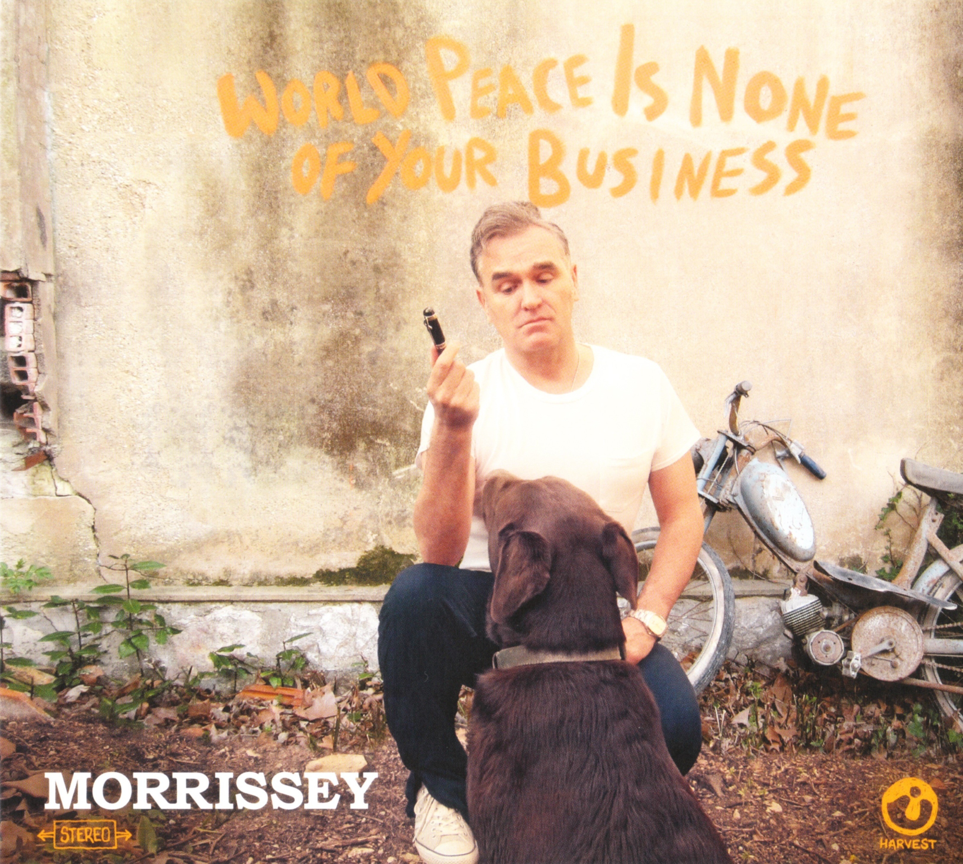 World Peace is None of Your Business cover art