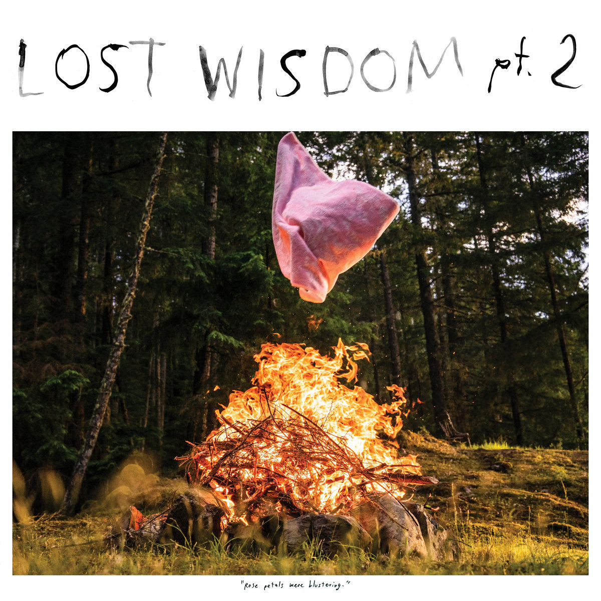 Lost Wisdom Pt. 2 cover art