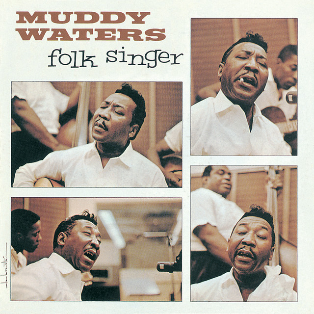 Folk Singer cover art