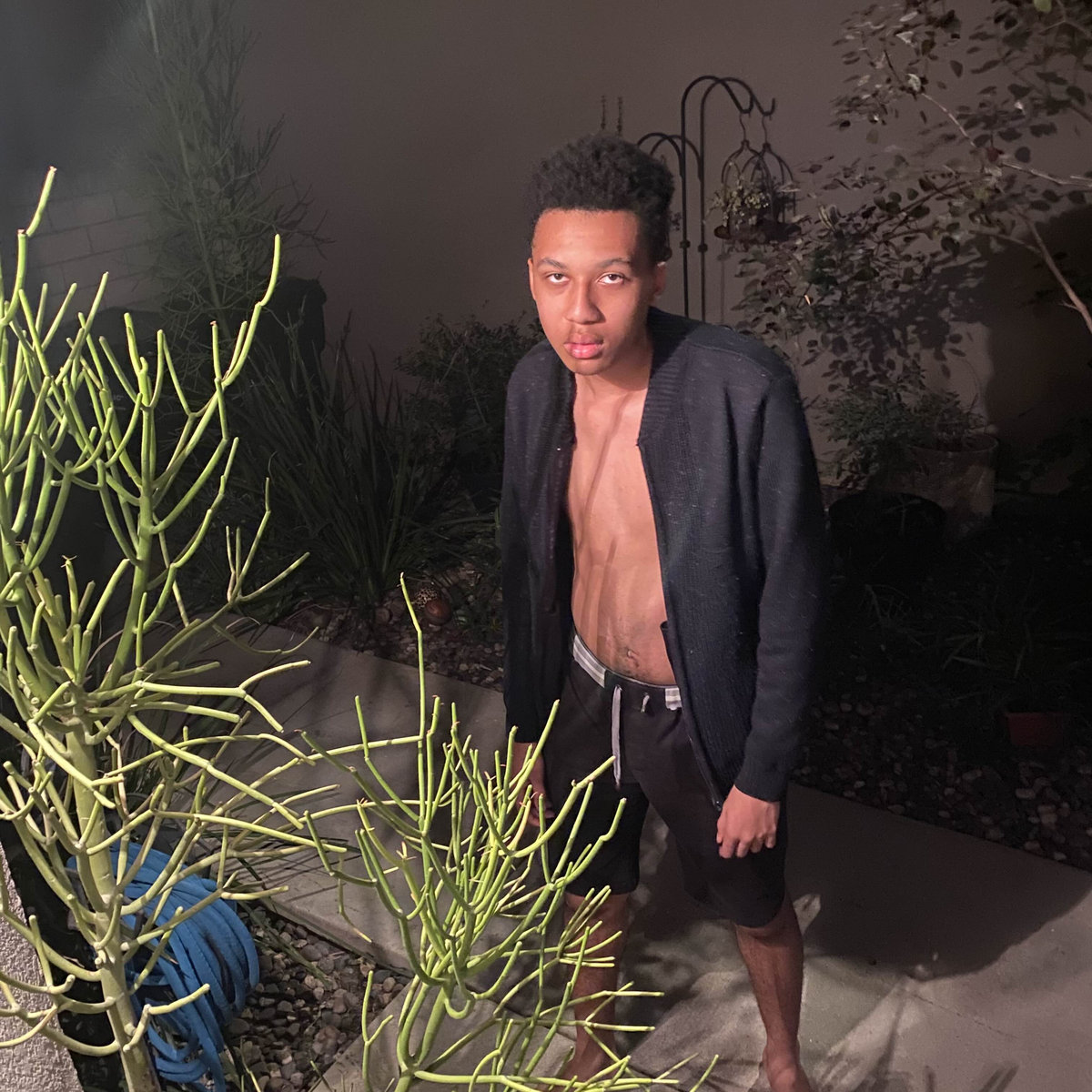 Debut cover art