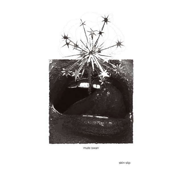 Skin Slip cover art