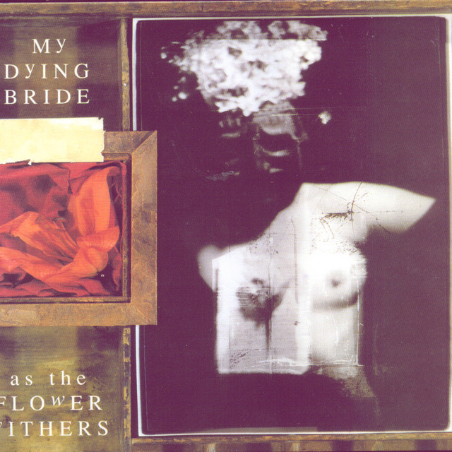 As the Flower Withers cover art