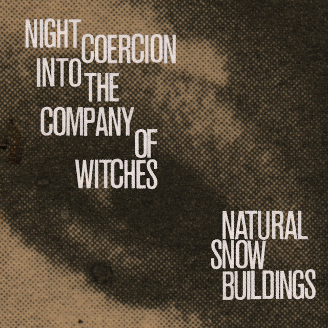 Night Coercion Into the Company of Witches cover art