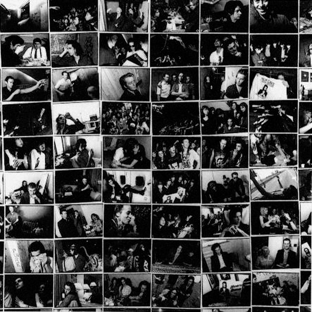Live Seeds cover art