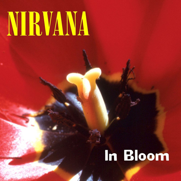 In Bloom cover art