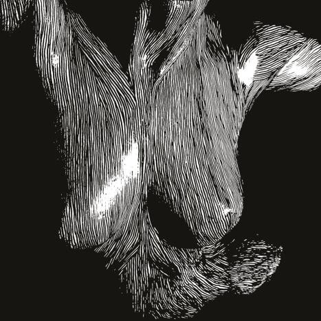 Self Preserved While the Bodies Float Up cover art