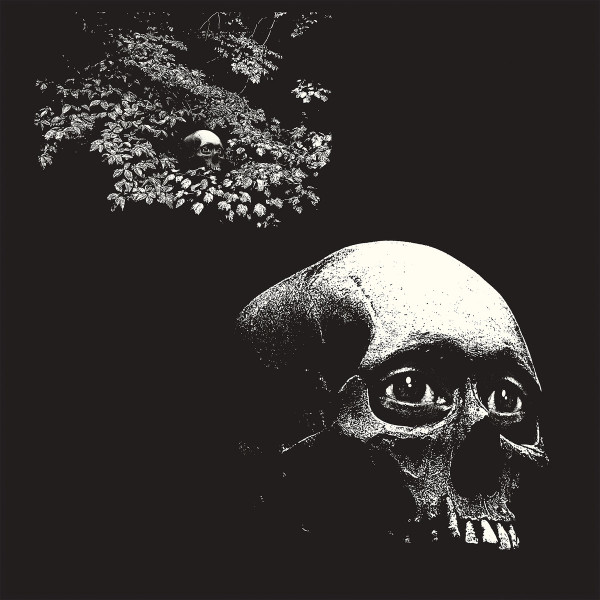 A Foul Form cover art