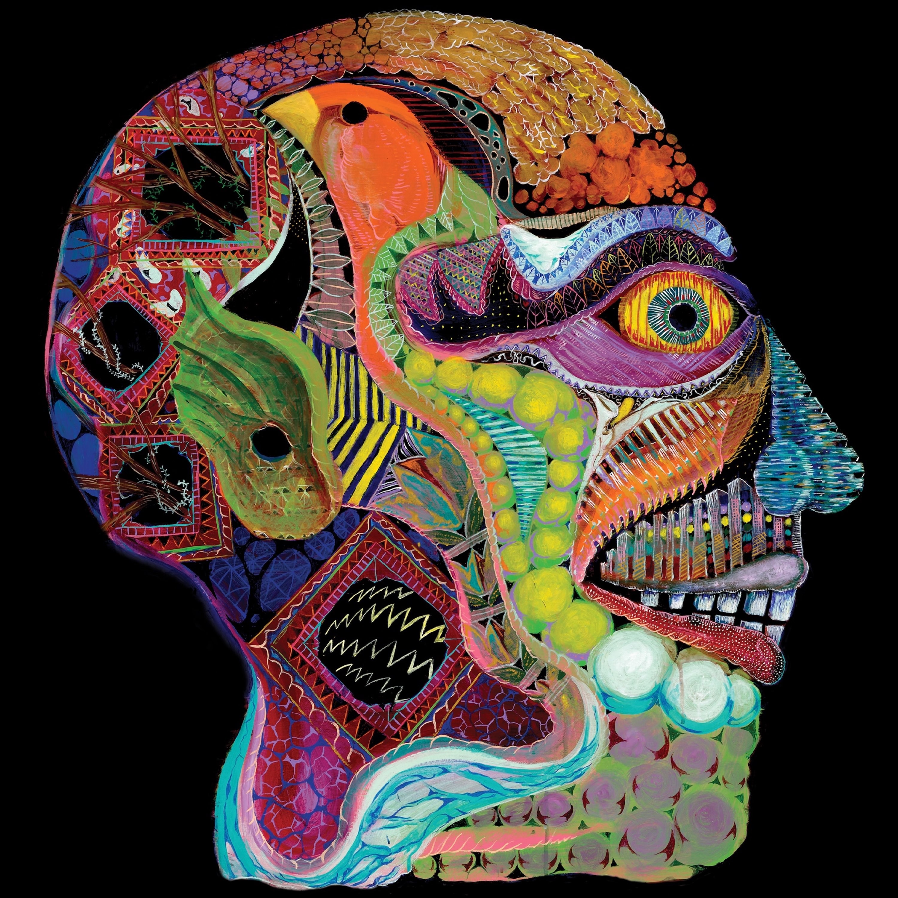 Cara maluco cover art