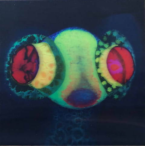 Sorcs 80 cover art
