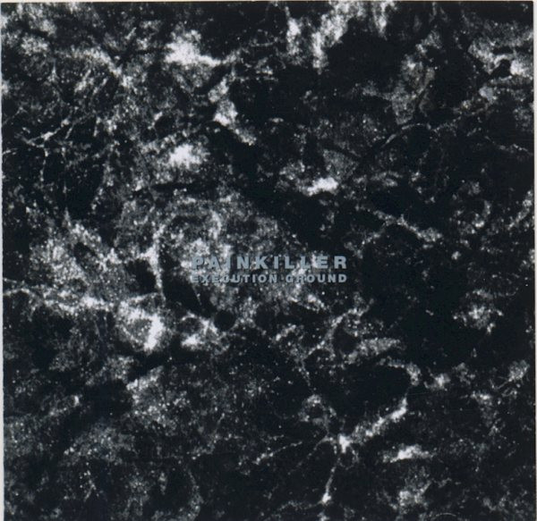 Execution Ground cover art