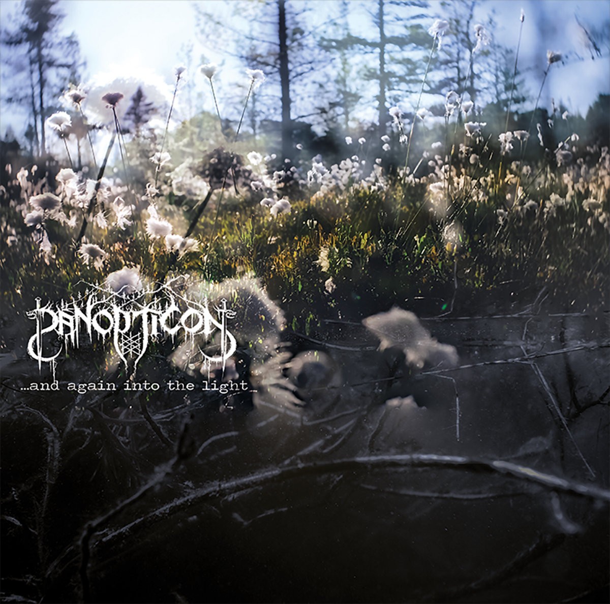 ...And Again Into the Light cover art