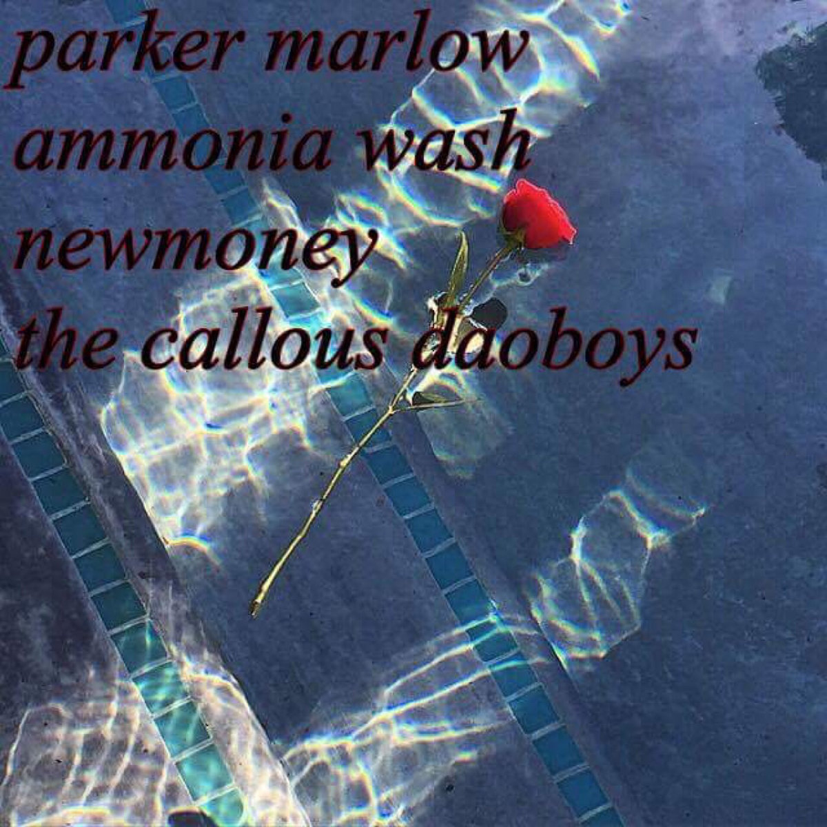 Parker Marlow / Ammonia Wash / NEWMONEY / The Callous Daoboys cover art