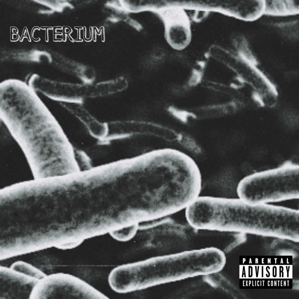 BACTERIUM cover art