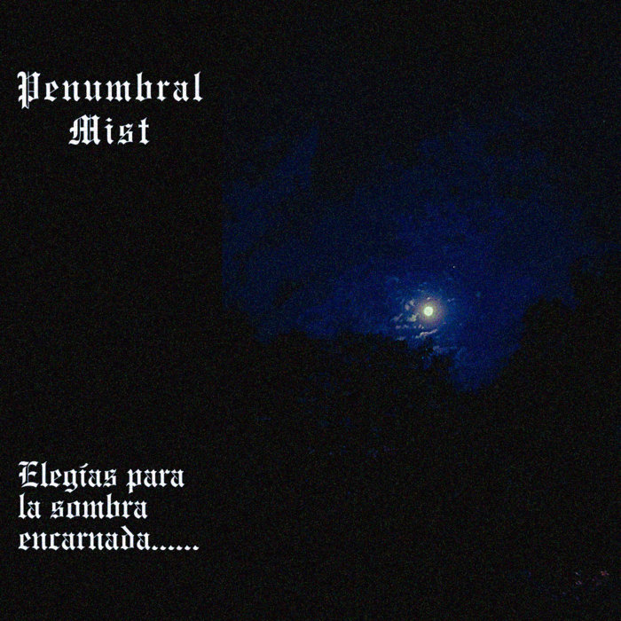 Elegías para la sombra encarnada...... cover art