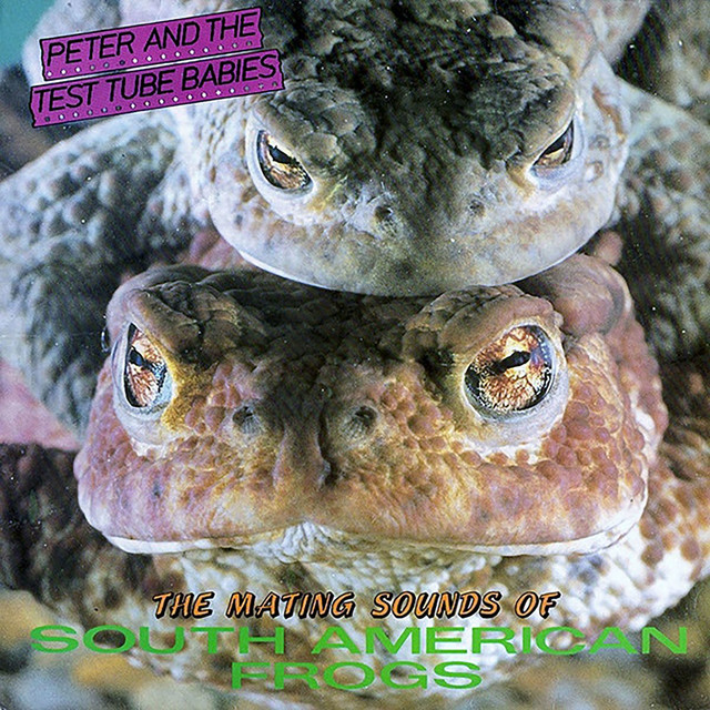 The Mating Sounds of South American Frogs cover art