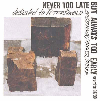 Never Too Late but Always Too Early: Dedicated to Peter Kowald cover art