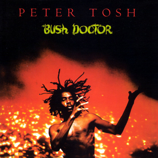 Bush Doctor cover art