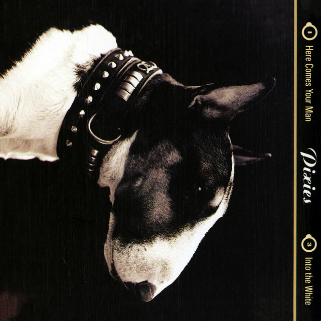 Here Comes Your Man / Into the White cover art