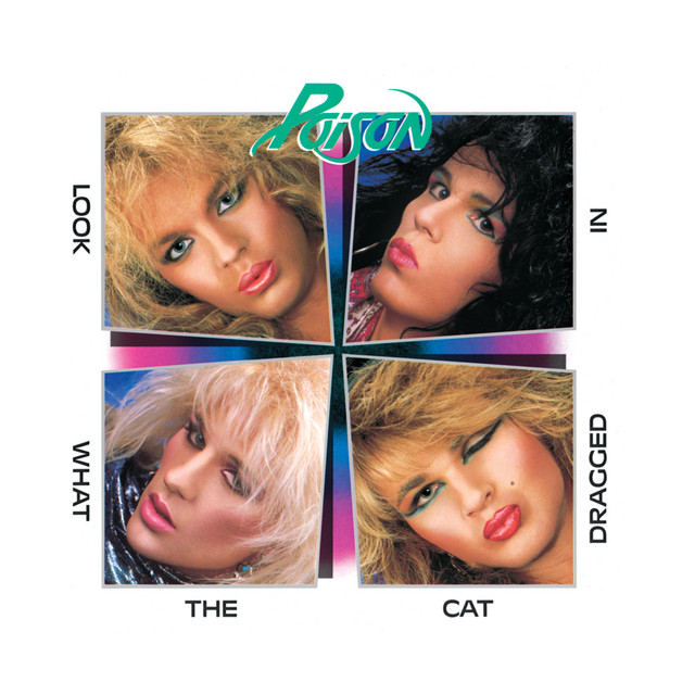 Look What the Cat Dragged In cover art
