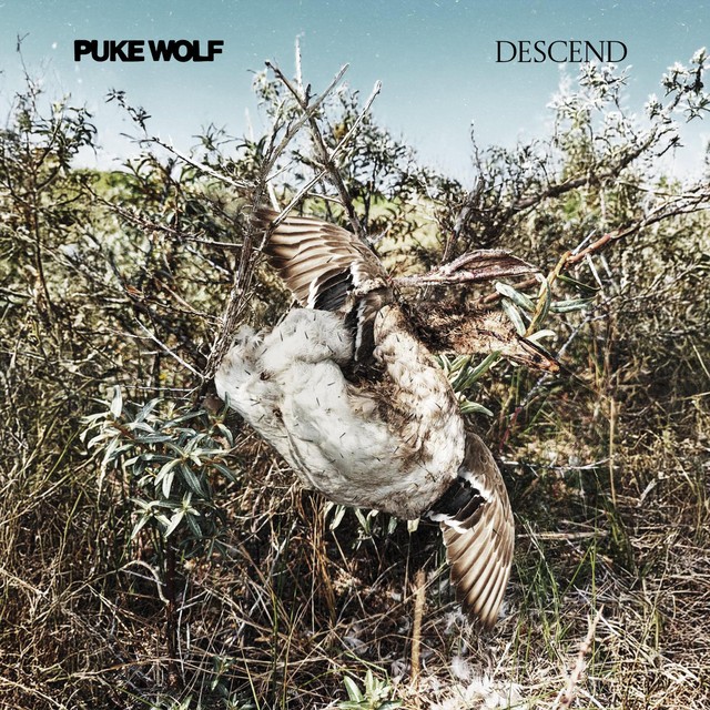 Descend cover art