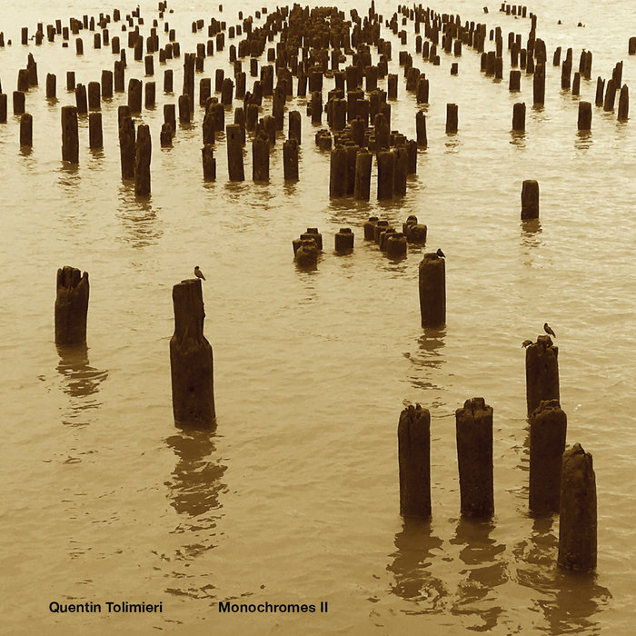 Monochromes II cover art