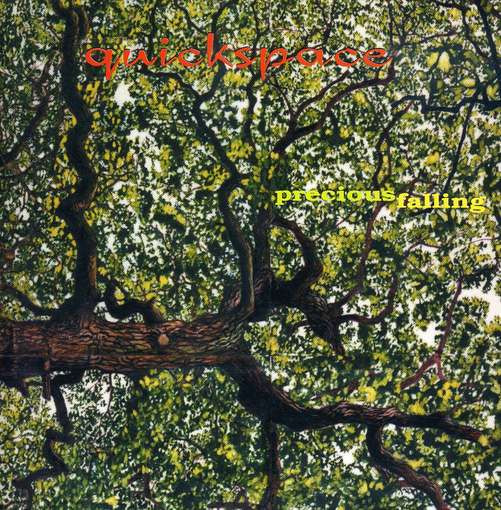 Precious Falling cover art