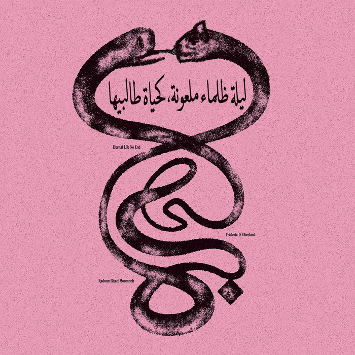 Eternal Life No End ليلة ظلماء ملعونة، كحياة طالبيها cover art