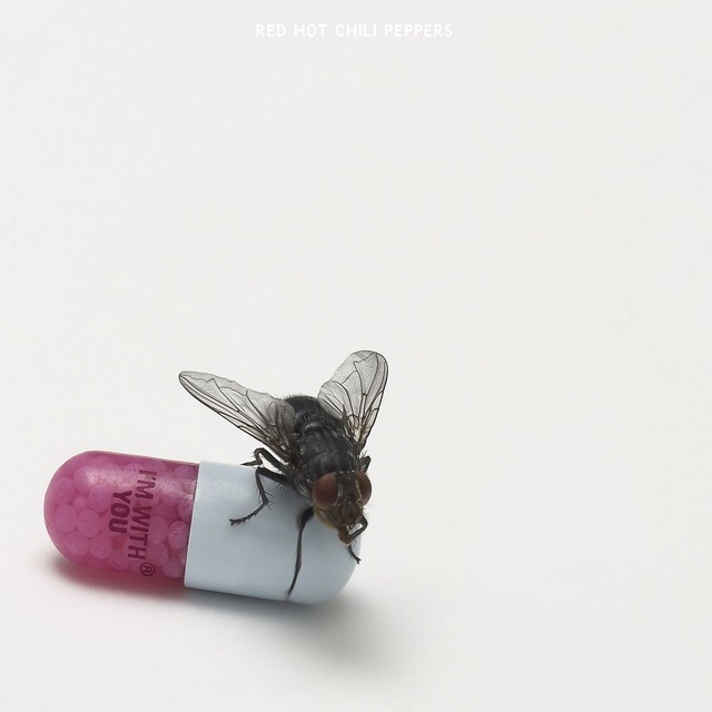 I'm With You cover art