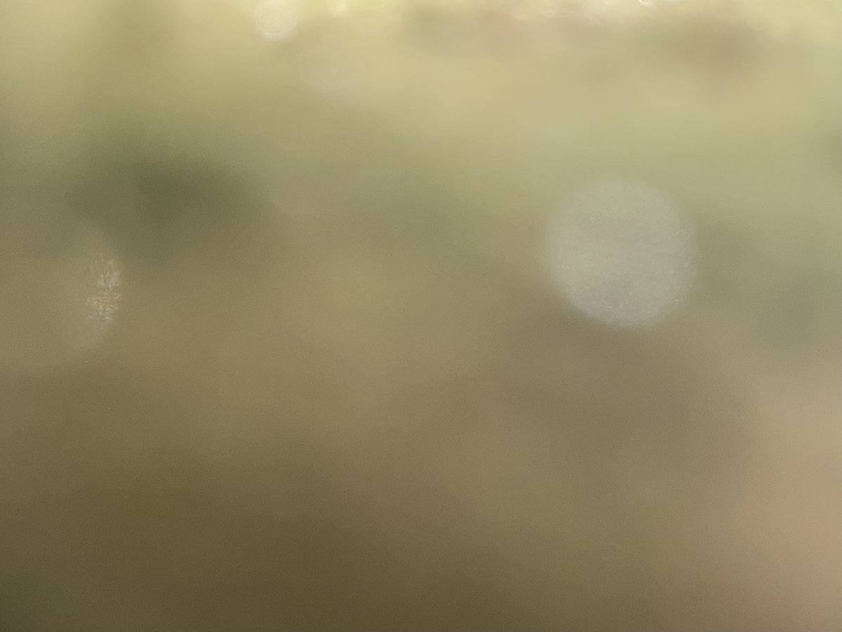 Blurry Days cover art