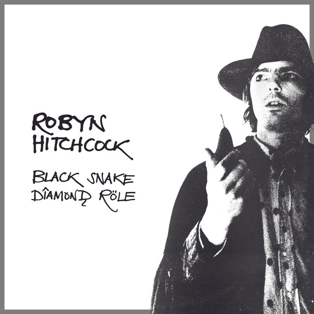 Black Snake Diamond Röle cover art