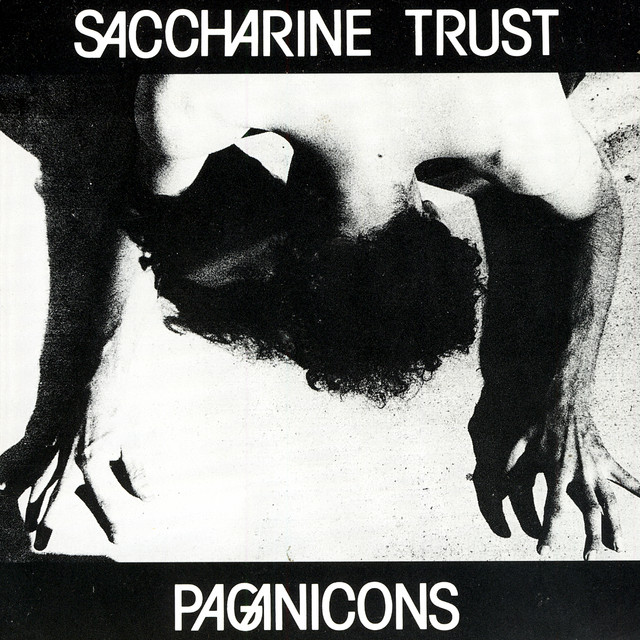 Paganicons cover art