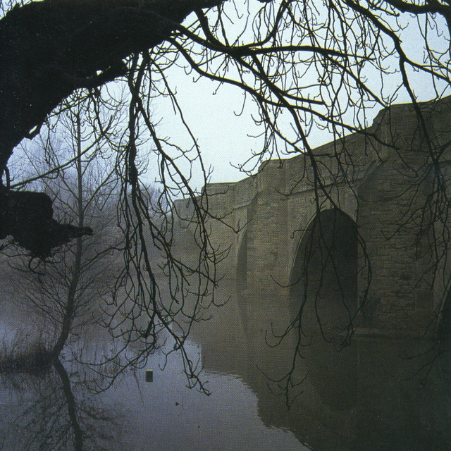The Mirror Test cover art