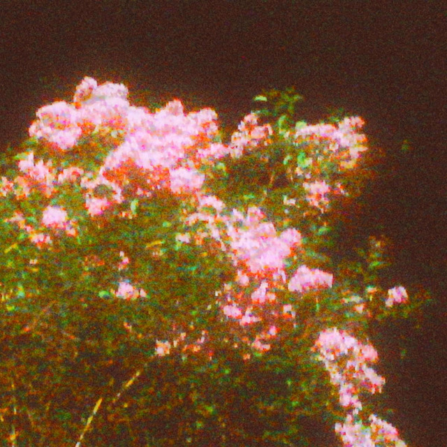 Your Perfect Hands and My Repeated Words cover art