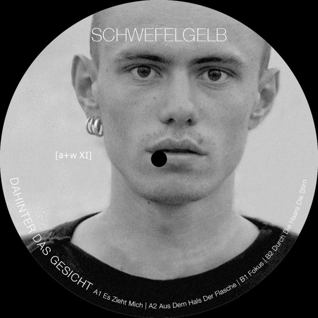Dahinter das Gesicht cover art