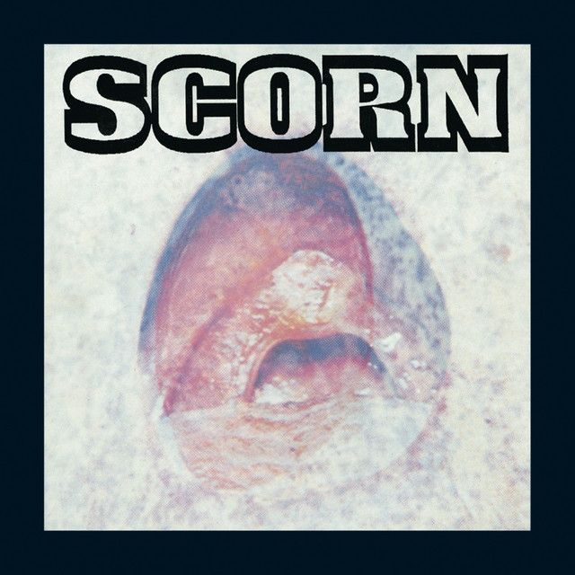 Vae Solis cover art