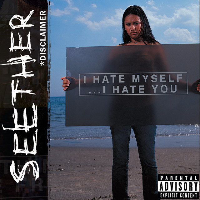 Disclaimer cover art