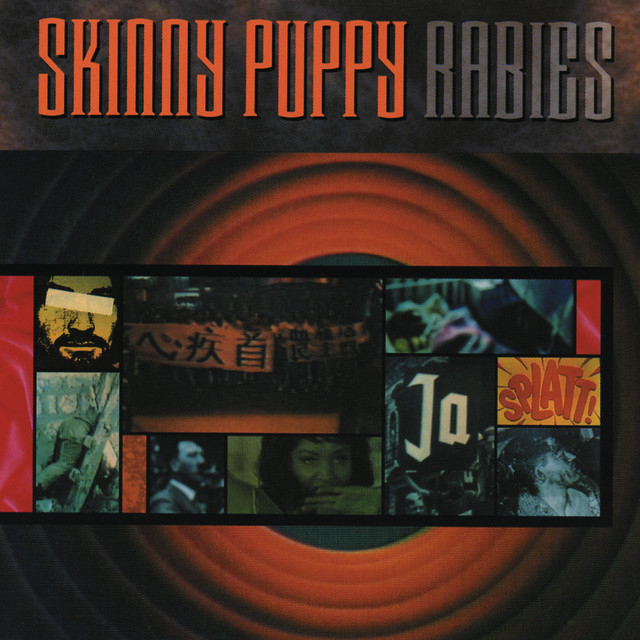 Rabies cover art