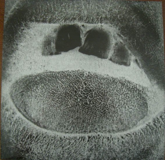 Form Destroyer cover art
