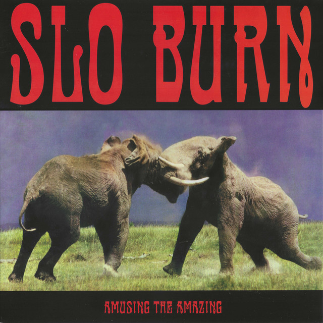 Amusing the Amazing cover art