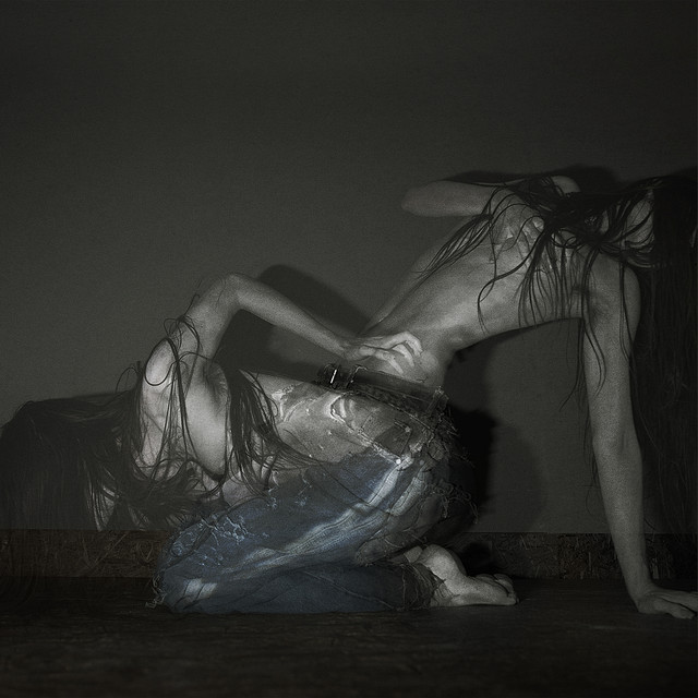 Something Is a Shell. cover art