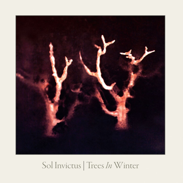 Trees in Winter cover art
