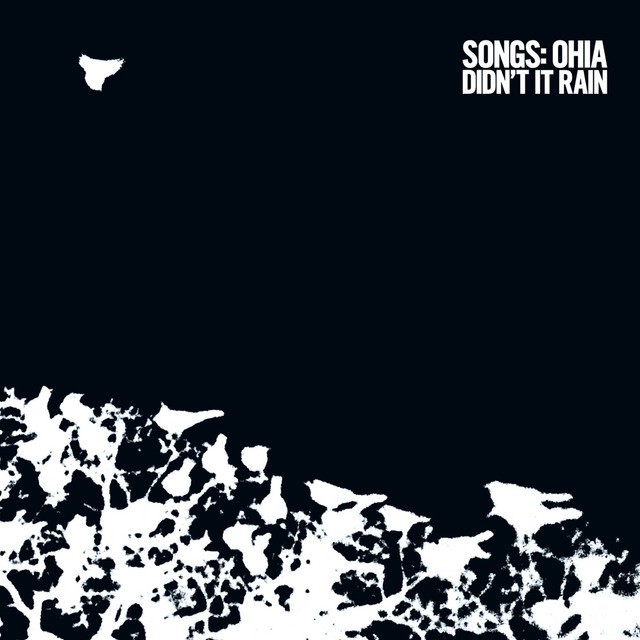 Didn't It Rain cover art