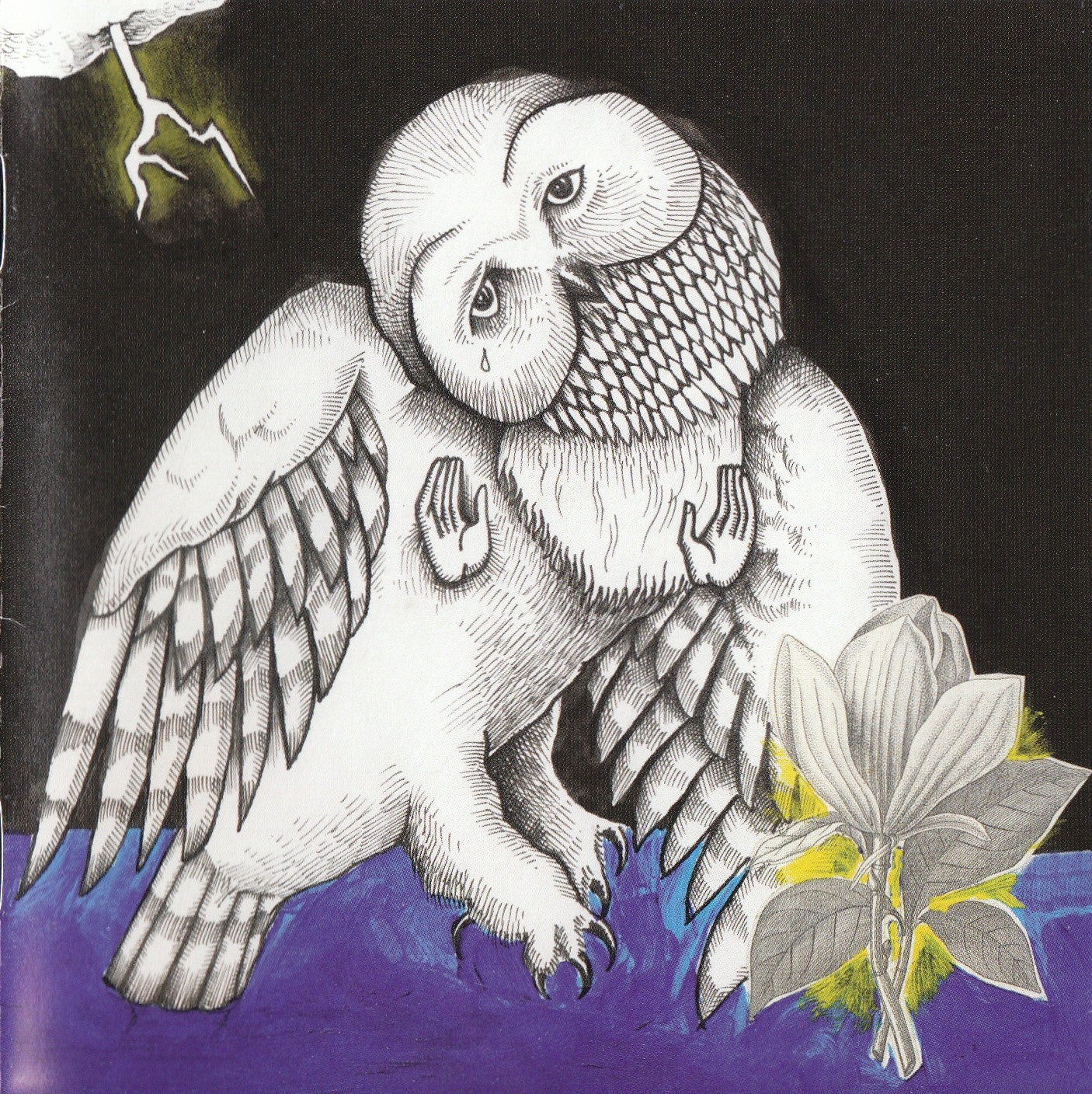 The Magnolia Electric Co cover art